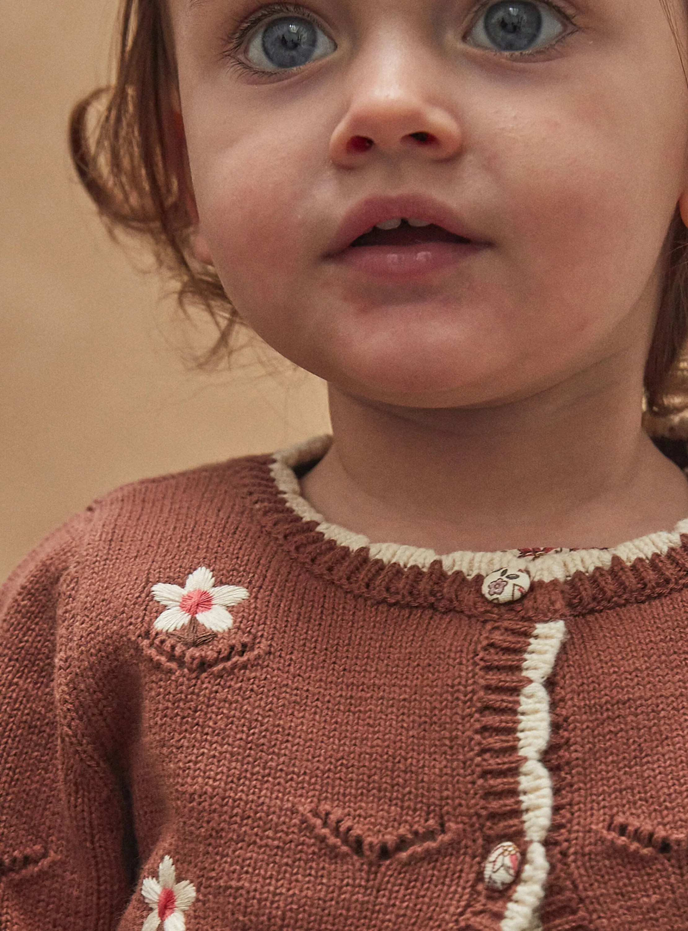 Cheap Sergent Major Brown CARDIGAN